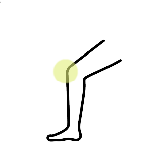 膝のイラスト