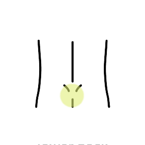 腰・背中に関するお悩み